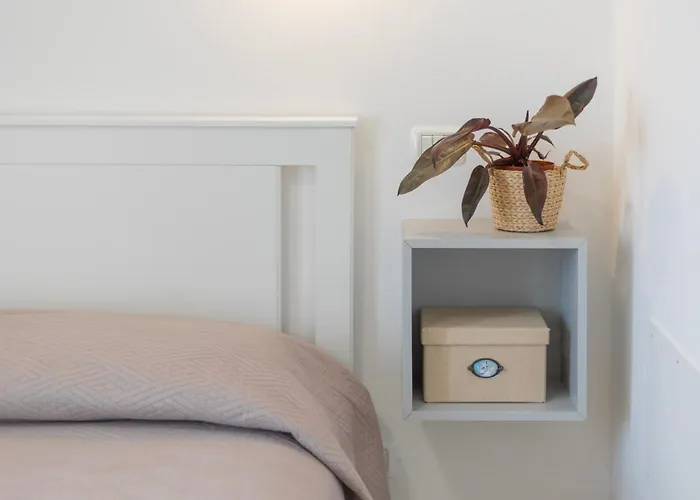 Tre Api By Elbasummer 公寓 普罗基奥